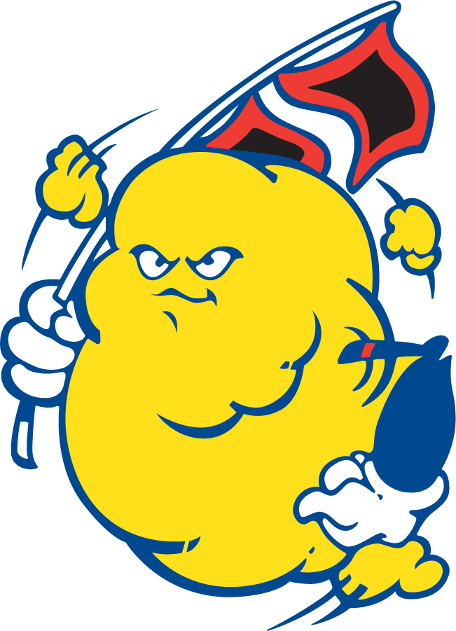 Tulsa Golden Hurricane 1980-1987 Mascot Logo iron on transfers for T-shirts